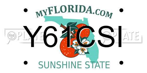 Y61CSI Florida License Plate