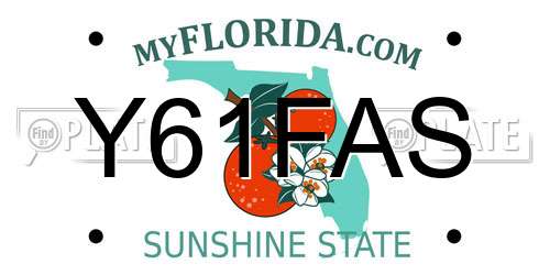 Y61FAS Florida License Plate