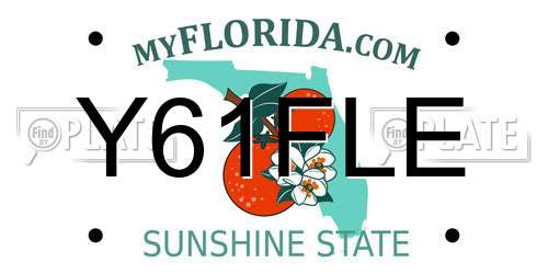 Y61FLE Florida License Plate