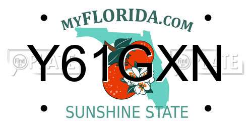 Y61GXN Florida License Plate