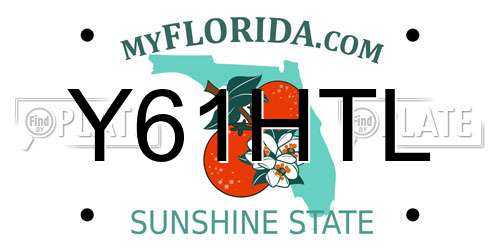 Y61HTL Florida License Plate