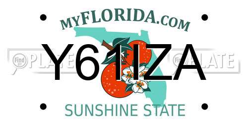 Y61IZA Florida License Plate