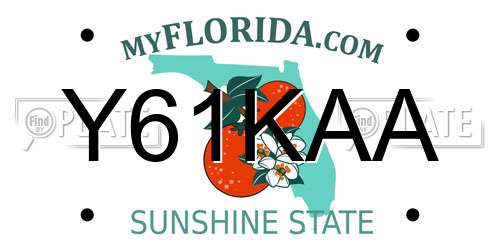Y61KAA Florida License Plate