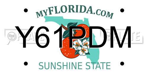 Y61PDM Florida License Plate