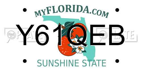 Y61QEB Florida License Plate
