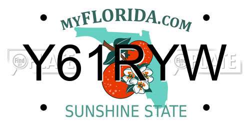 Y61RYW Florida License Plate