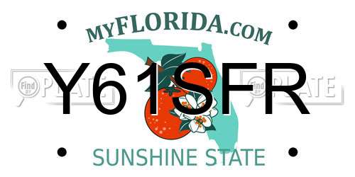 Y61SFR Florida License Plate
