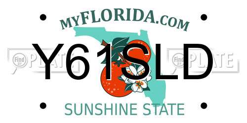 Y61SLD Florida License Plate