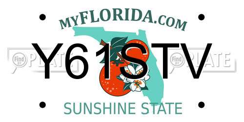 Y61STV Florida License Plate