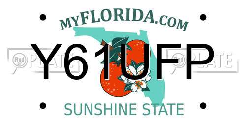 Y61UFP Florida License Plate