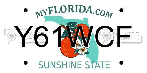Y61WCF Florida License Plate