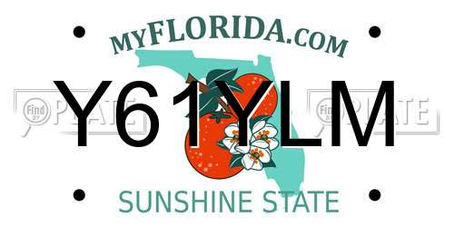 Y61YLM Florida License Plate
