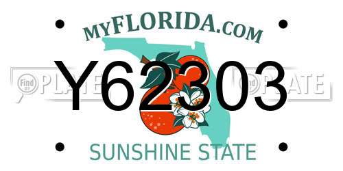 Y62303 Florida License Plate