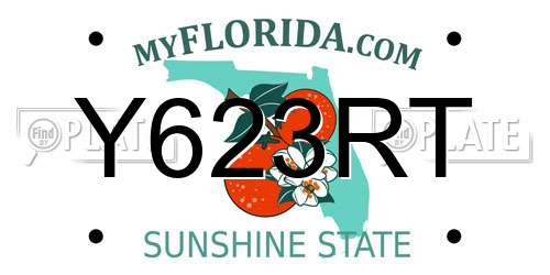 Y623RT Florida License Plate