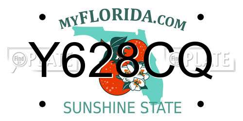 Y628CQ Florida License Plate