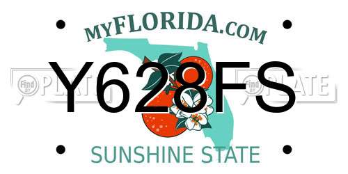 Y628FS Florida License Plate