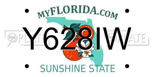 Y628IW Florida License Plate