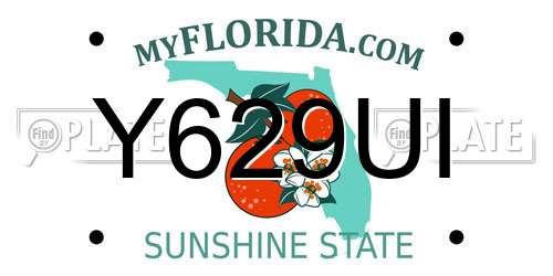 Y629UI Florida License Plate