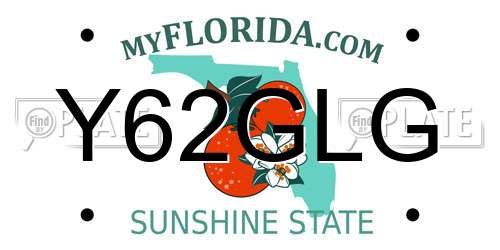 Y62GLG Florida License Plate