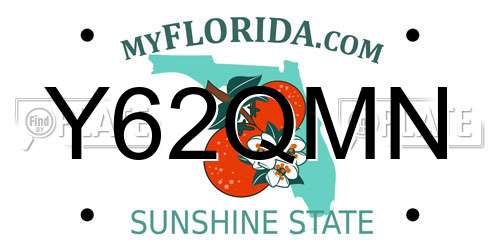 Y62QMN Florida License Plate