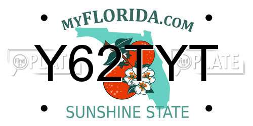 Y62TYT Florida License Plate