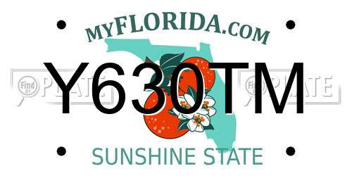 Y630TM Florida License Plate