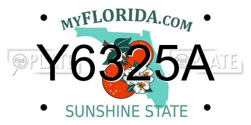 Y6325A Florida License Plate