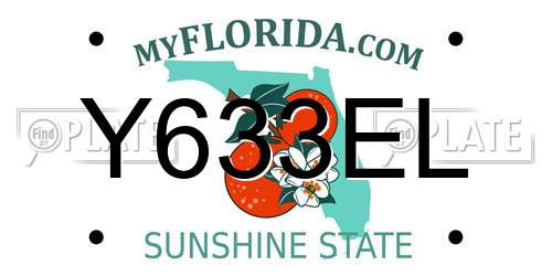 Y633EL Florida License Plate