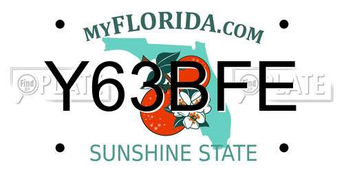 Y63BFE Florida License Plate