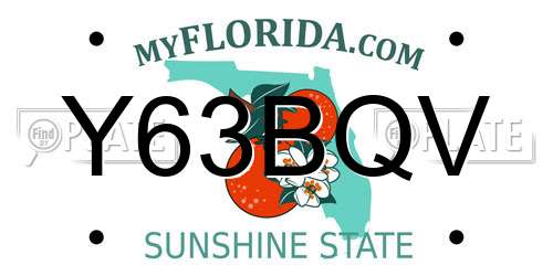 Y63BQV Florida License Plate