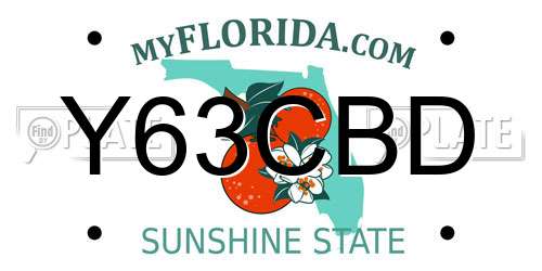 Y63CBD Florida License Plate