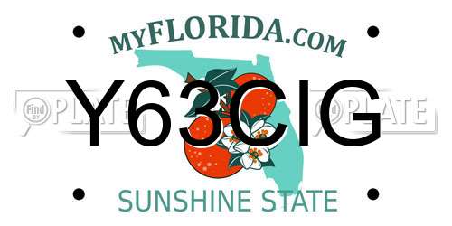 Y63CIG Florida License Plate