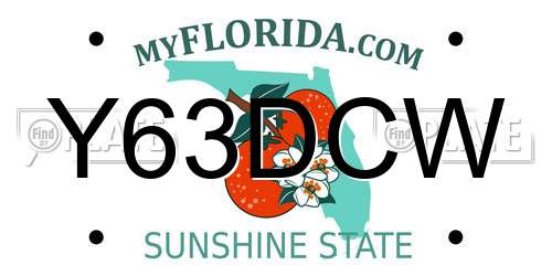 Y63DCW Florida License Plate