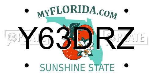 Y63DRZ Florida License Plate