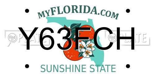 Y63FCH Florida License Plate
