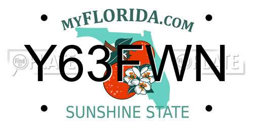 Y63FWN Florida License Plate