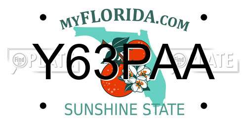 Y63PAA Florida License Plate
