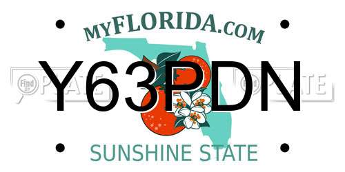 Y63PDN Florida License Plate