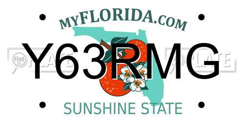 Y63RMG Florida License Plate