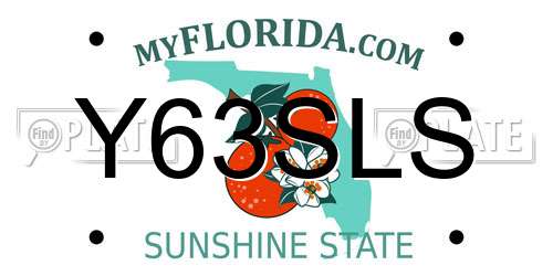 Y63SLS Florida License Plate
