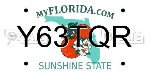 Y63TQR Florida License Plate