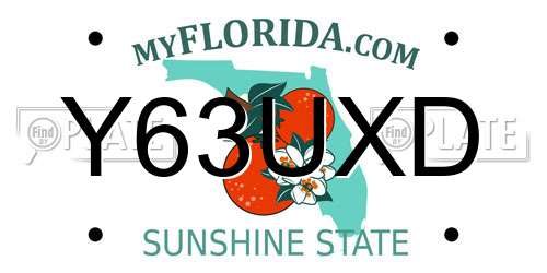 Y63UXD Florida License Plate