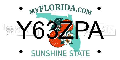 Y63ZPA Florida License Plate
