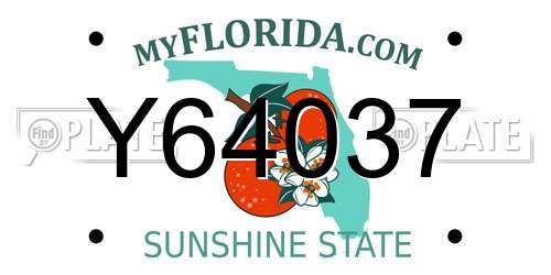 Y64037 Florida License Plate