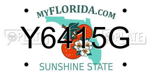 Y6415G Florida License Plate