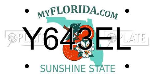 Y643EL Florida License Plate