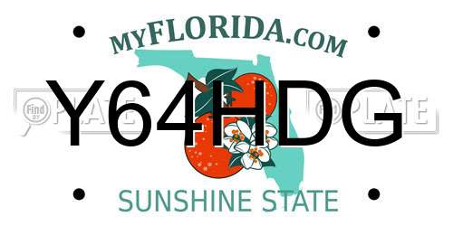 Y64HDG Florida License Plate