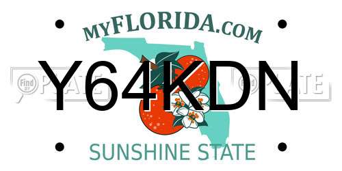 Y64KDN Florida License Plate
