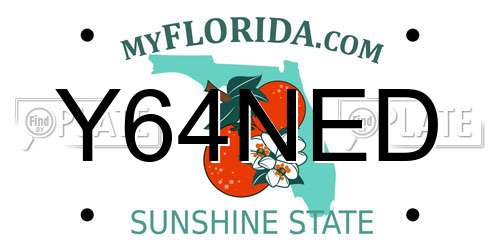 Y64NED Florida License Plate