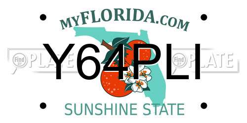 Y64PLI Florida License Plate